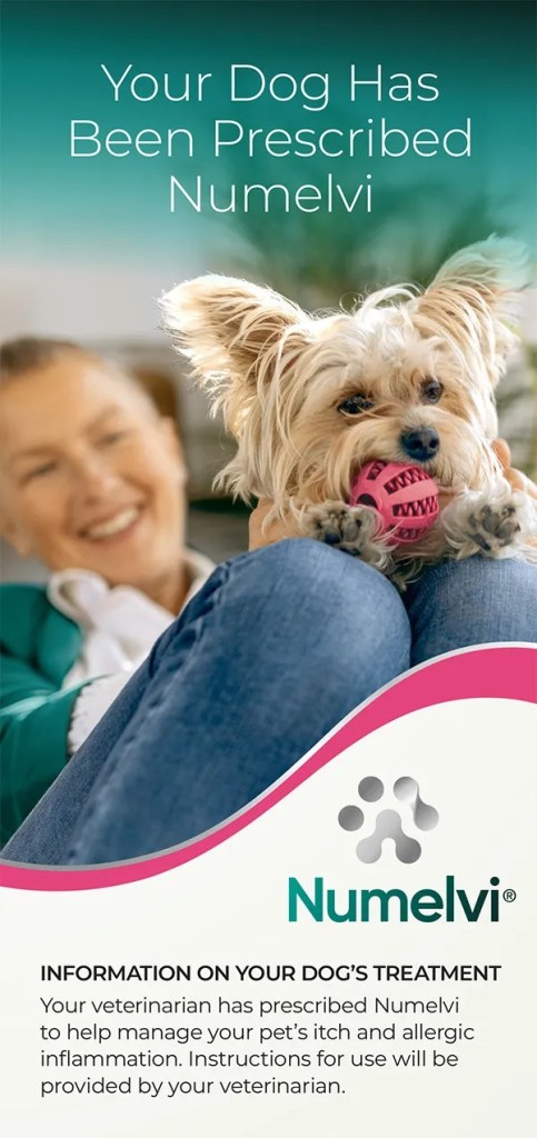 Your dog has been prescribed Numelvi