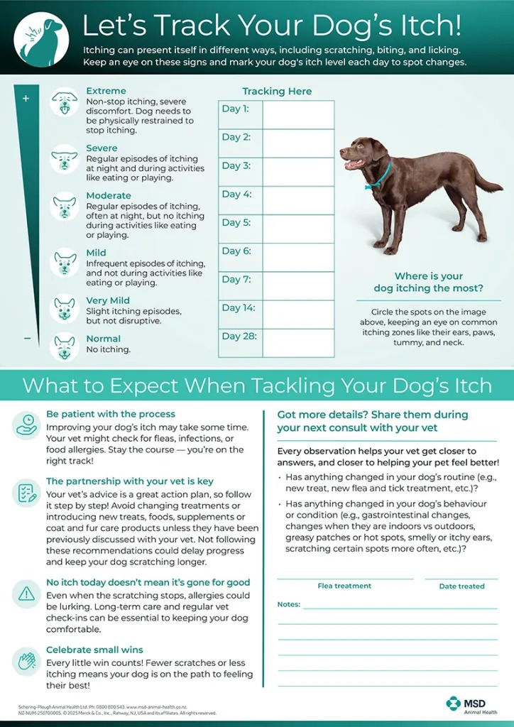 Let's track your dog's itch